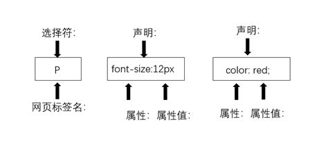 简述CSS样式存放在网页中的两种方式及CSS样式的选择器类型包括哪几种