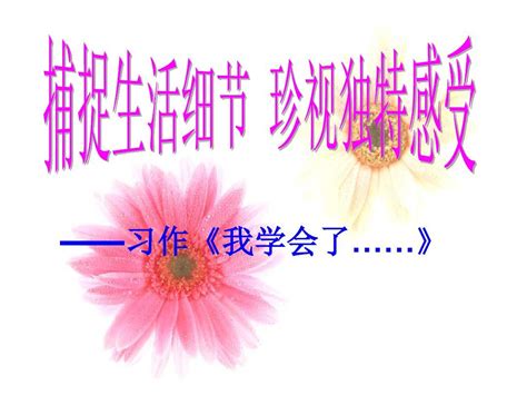 我学会了做寿司_写事作文450字【经典5则】