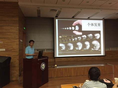 「实用参考」低年龄孩子科学运动指南，3到6岁家长必看
