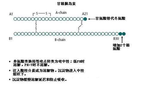 胰岛果的含糖量