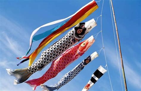 5月5日日本人為什么要掛鯉魚旗