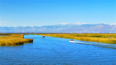 宁夏沙湖有什么好景区?