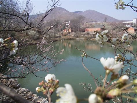 读《樱桃沟的春天》有感300字(摘抄7篇)