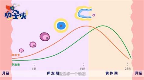 排卵13天hcg42正常吗