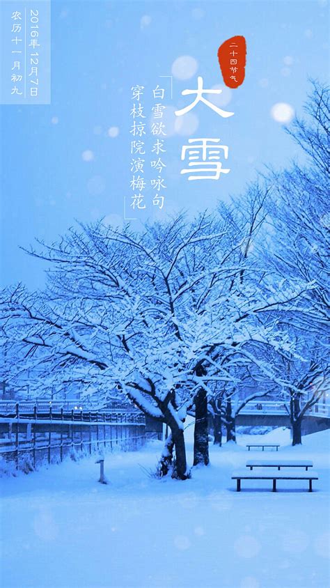 赞美大雪的诗句