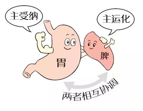 孩子身高长得慢吃什么补救