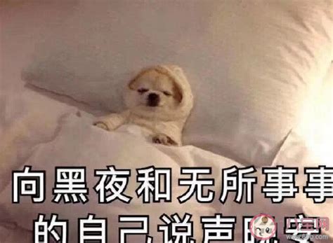 睡一下午的搞笑说说