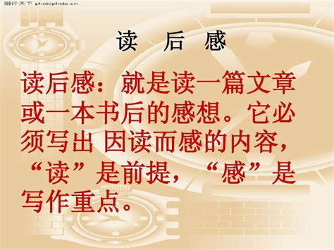 我的好伙伴――《语文主题学习》_五年级读后感500字(经典5篇)