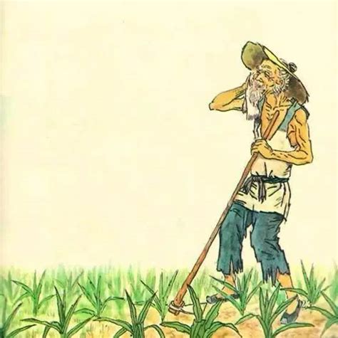 描写农民科学种地的句子【摘抄55句】