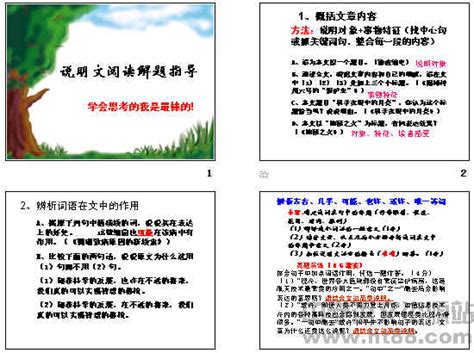 九龙桂_小学说明文300字(共计4则)