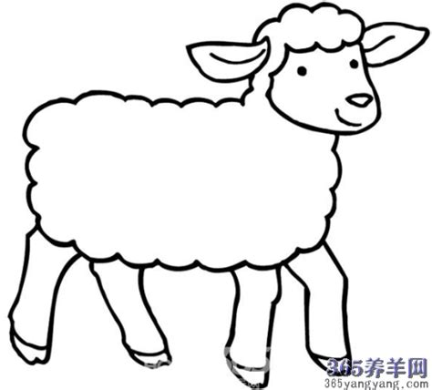 羊简笔画表情包