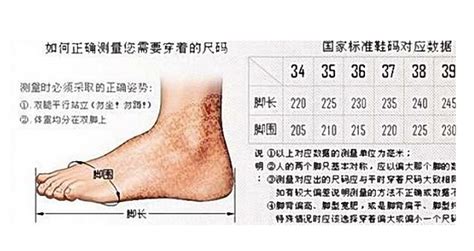 童鞋15號(hào)16號(hào)17號(hào)鞋有多長(zhǎng)分別有多長(zhǎng)