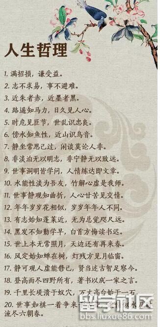表达议论的经典语录