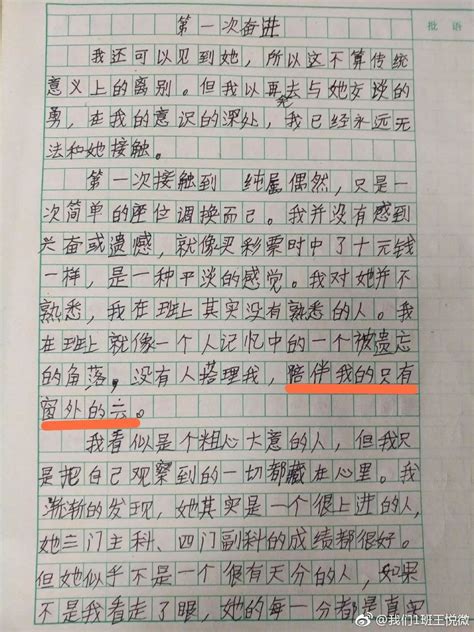 鸡蛋里挑石头-写事作文400字（汇总6则）