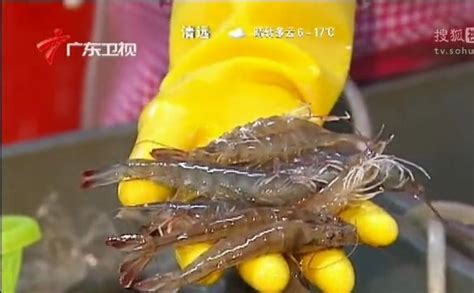 200g左右的羅氏蝦多少錢一斤