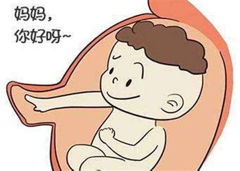 33岁怀第一胎