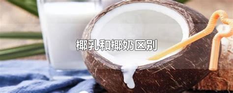 椰浆和椰汁有什么区别?