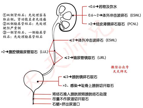 恢复膀胱的排尿功能有哪些方法