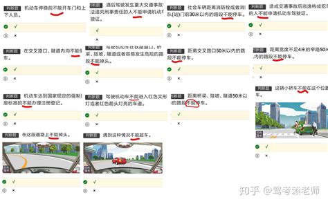 学习驾照网上哪个软件好一点