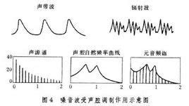 手机能不能放MIDI格式的音乐??