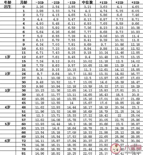 2022年地支对照表