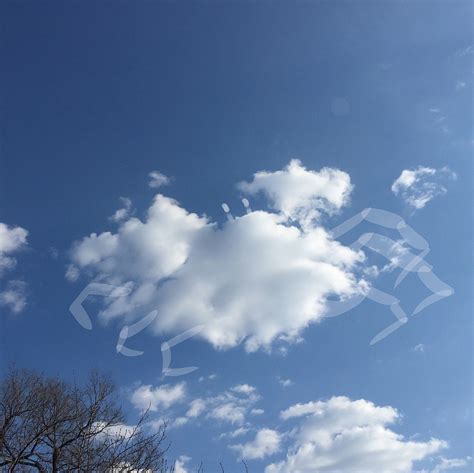 我是一朵云-小学生想象作文500字(共8篇)