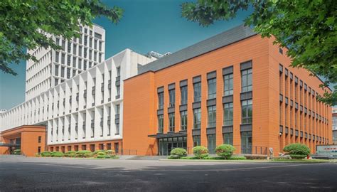 重庆医科大学是不是211加985,