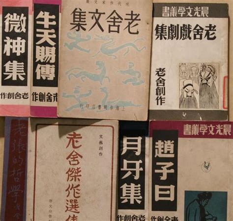 我最敬佩的作家——老舍-写人作文450字[汇总5篇]
