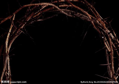 冲破荆棘300字【通用4则】