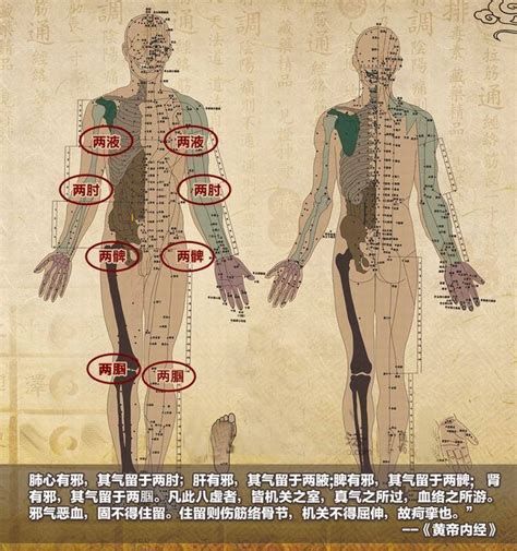 五行健康操15分钟全身穴位拍打操