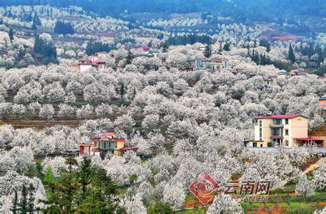 云南个旧市有多少县