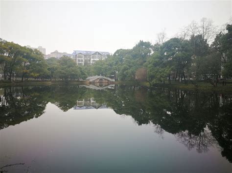 当湖公园_公园游记作文350字【共8则】