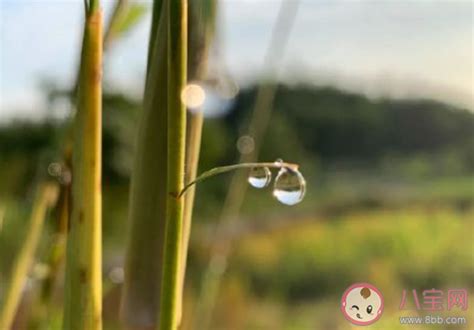 感情淡了从头开始的说说