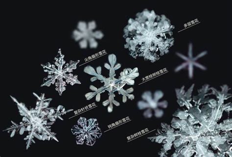 雪花有几个花瓣?