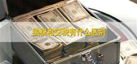 lv围巾进海关被税多少