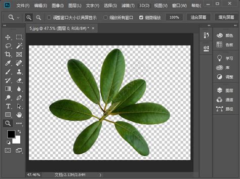 怎么把par的格式转达为JPG的格式