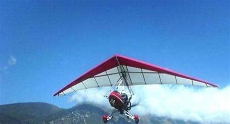 貓為什么從高空掉下摔不死