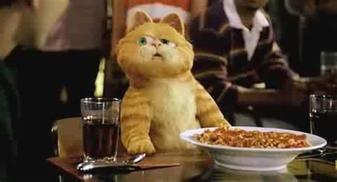 我和加菲猫过一天-想象作文400字【合集10篇】