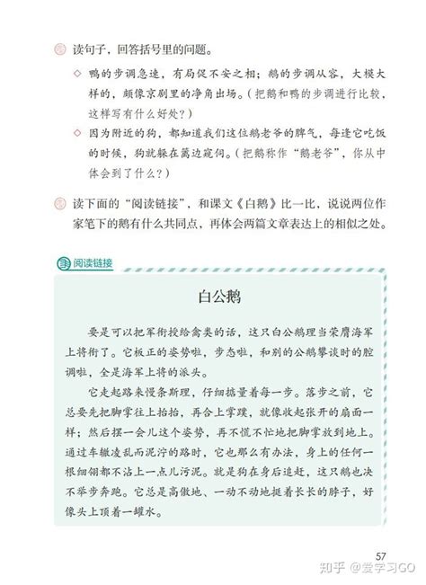 追逐白鹅-五年级日记作文600字（共计7则）