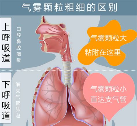 小孩发烧咳嗽可以做雾化吗