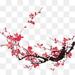 描写冬梅的唯美句子