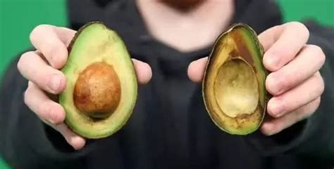 牛油果是什么水果