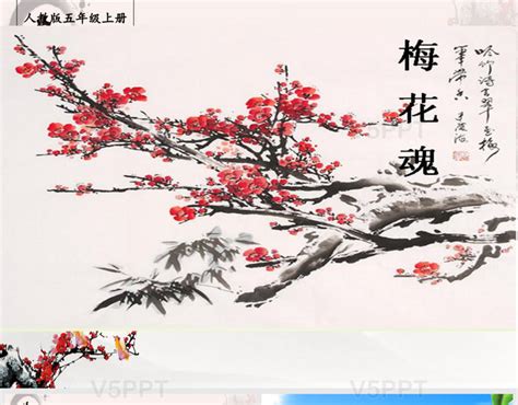 《梅花魂》-读后感作文450字（共计6则）