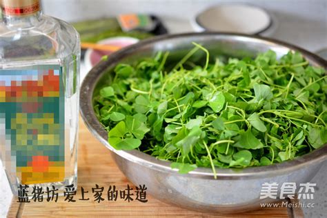 生炒金花菜要怎么做好吃?生炒金花菜要哪些材料?如何做生炒金花菜