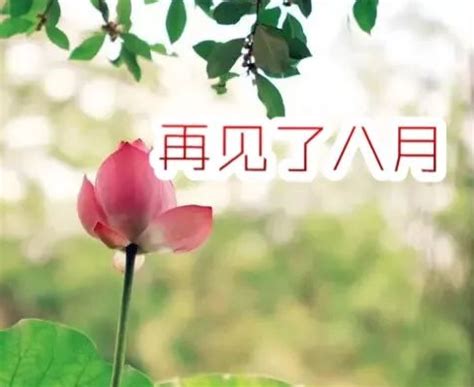 2022最后一天说说短句