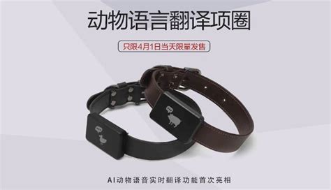 choker necklace是什么意思