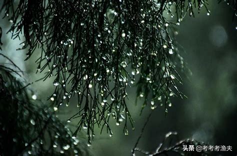 下雨天 唯美句子