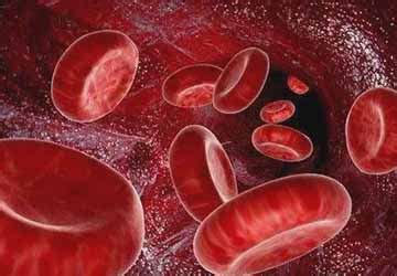 血小板低最怕三种水果