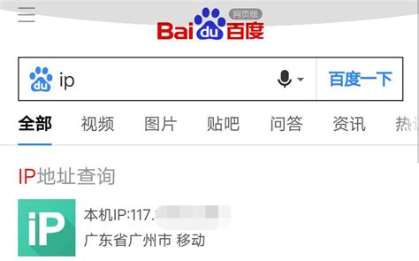 在国外用什么下载工具好?