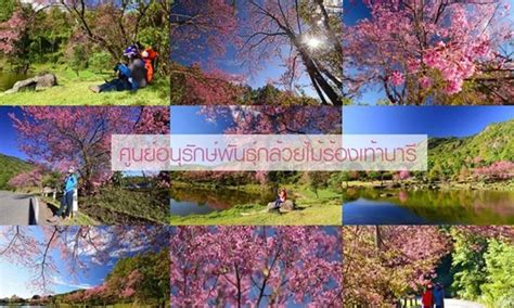 泰国旅游12项旅游指南，值得一看哦